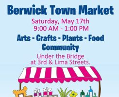 Berwick Town Market, cajun coast