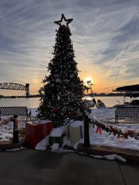 Christmas tree fest, cajun coast