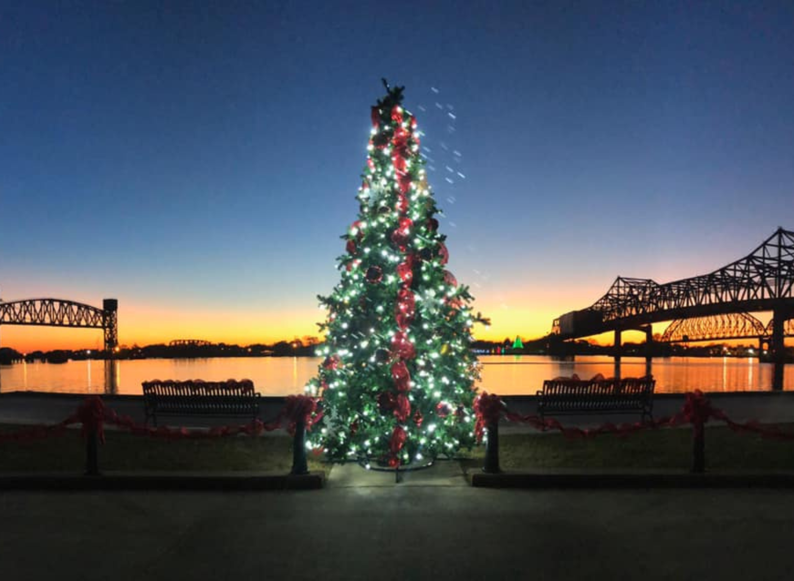 Christmas Cajun Coast