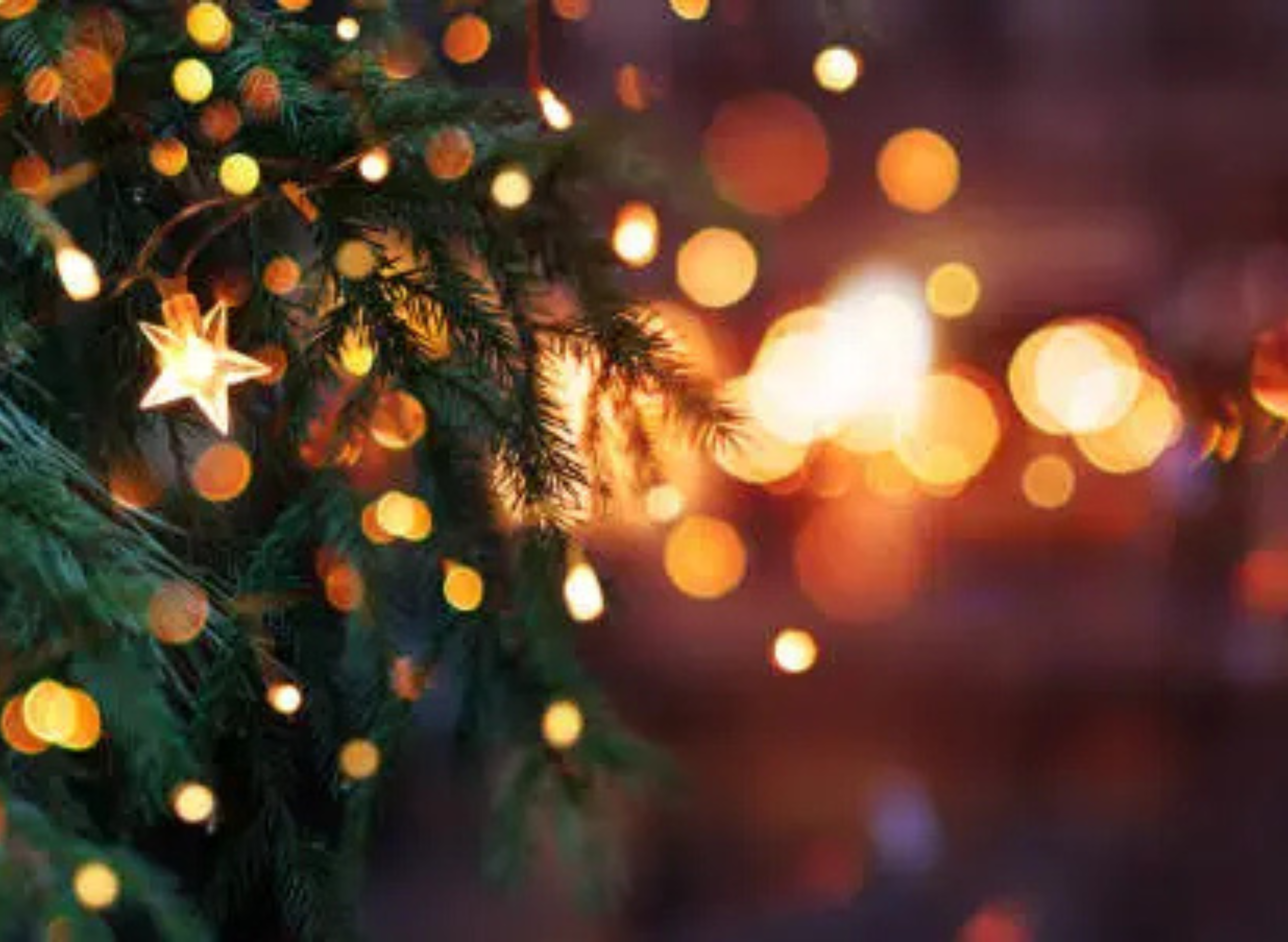 Christmas Cajun Coast