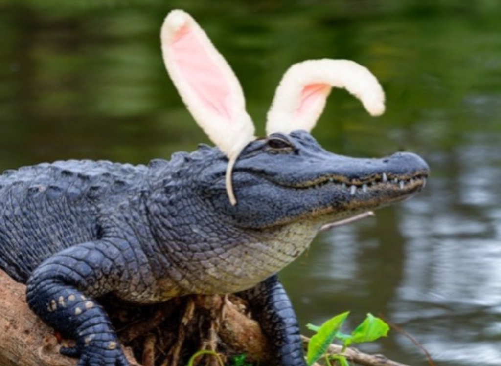 Easter on the Cajun Coast